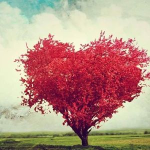 Meet your Posher, Alma